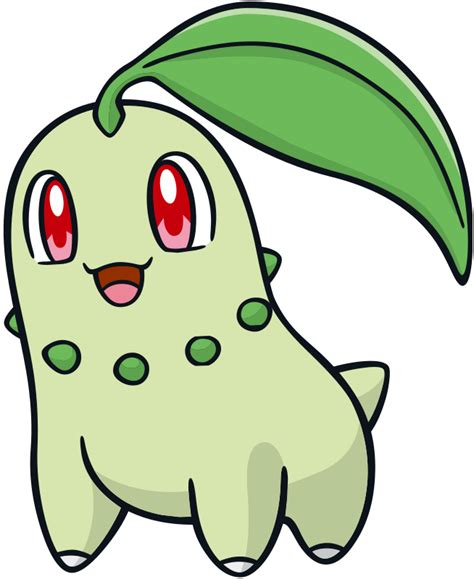 Chikorita .